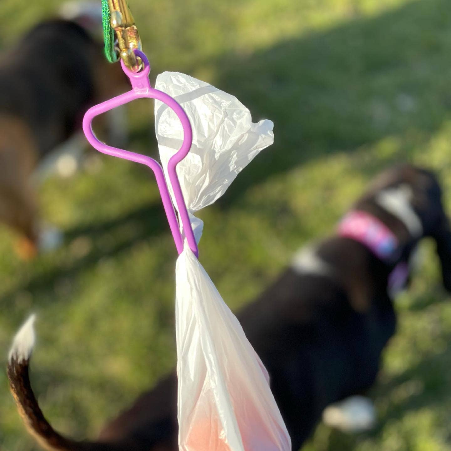 The dooloop by Houndswag LLC - Wholesale Pet Poop Bag Dispenser - Bari's Lilac Dooloop POP Box (set of 15)3