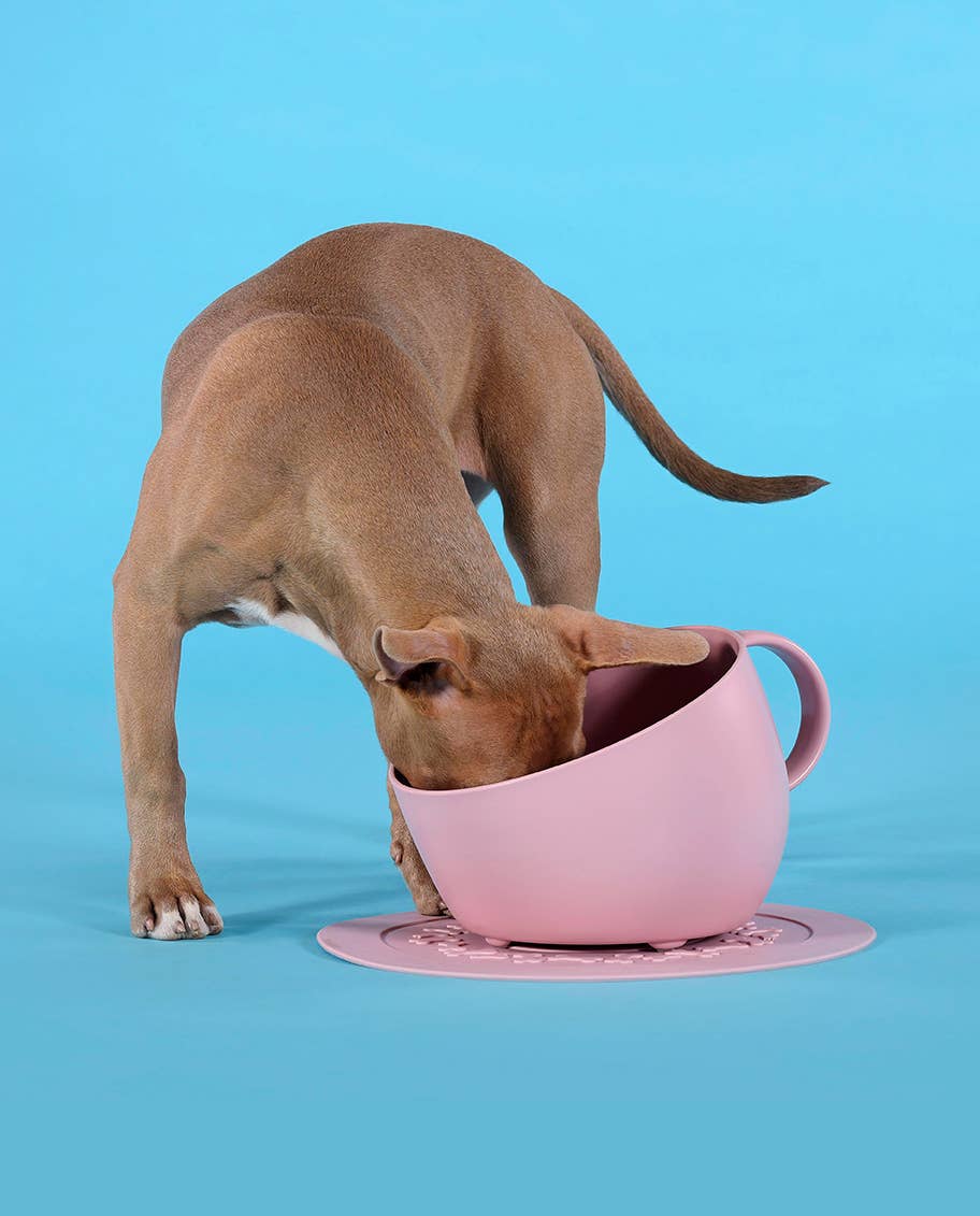 United Pets - Wholesale Pet Bowl - Cat/Dog - Eco-friendly anti-splash tall bowl for food and water2