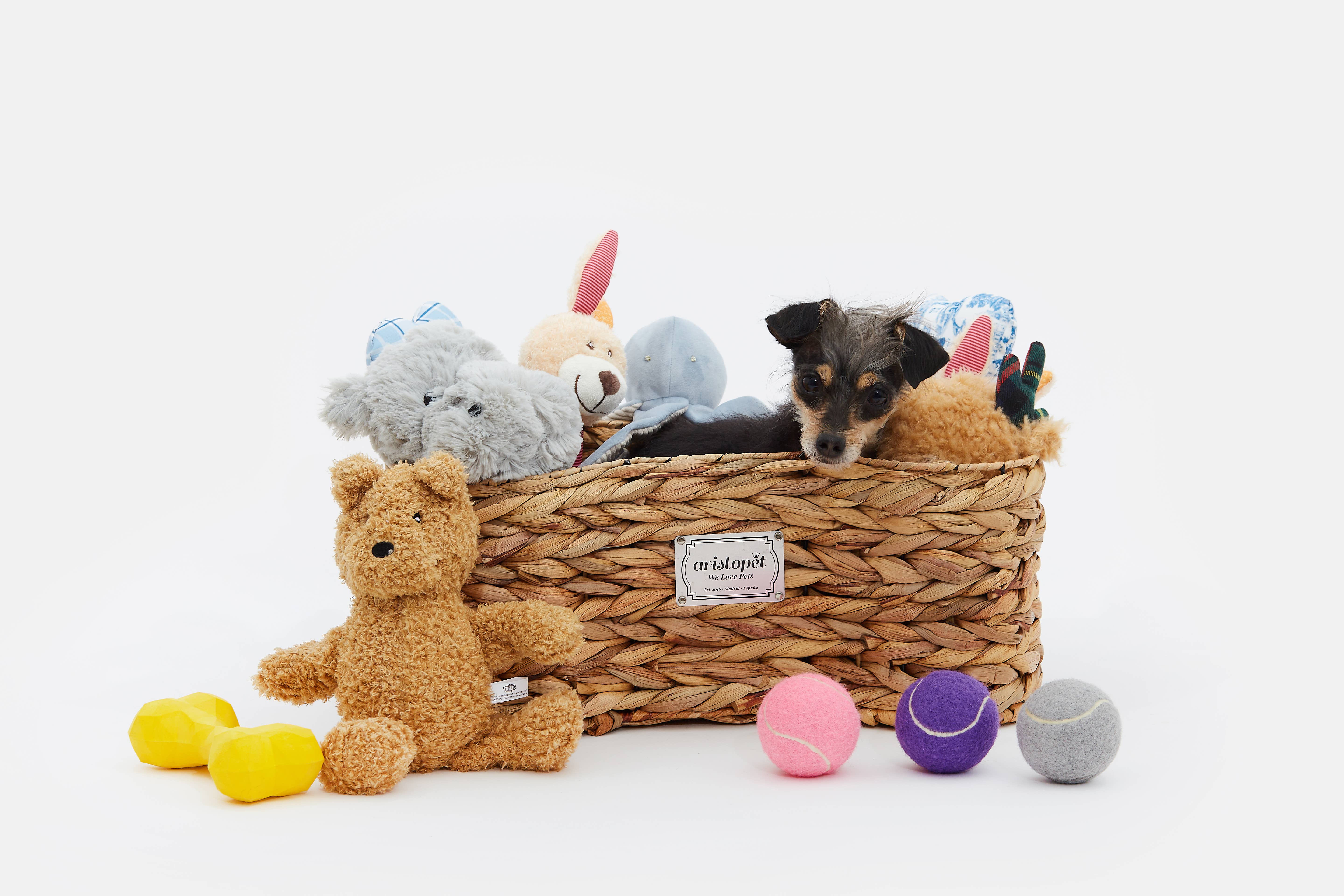 ARISTOPET - Vendita all'ingrosso Portagiocattoli per animali - Cesta porta giocattoli per animali a forma di osso8