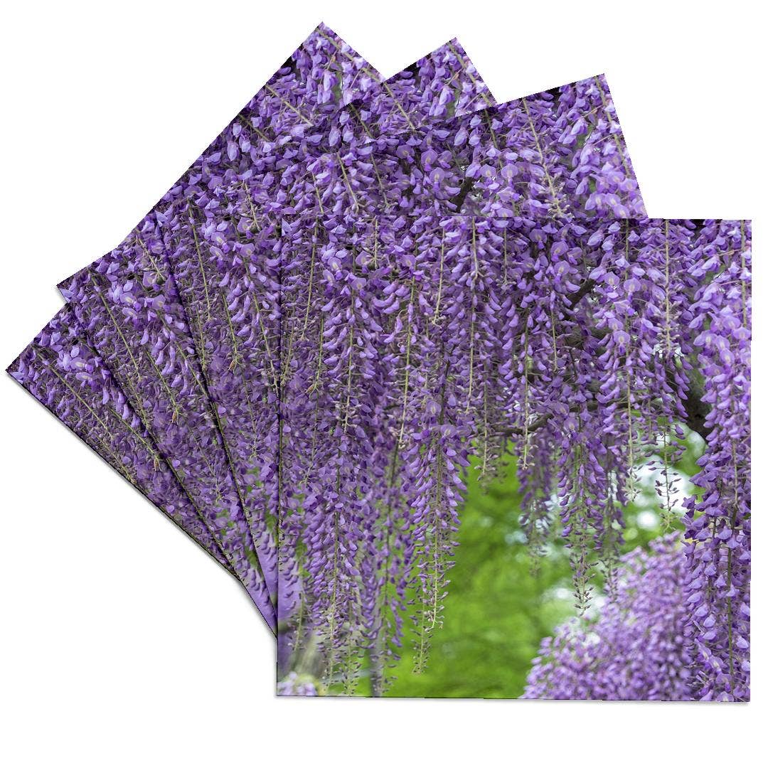 3dRose - Wholesale Onderzetters - 3dRose, Japanse Blauwe Regen, Onderzetter0