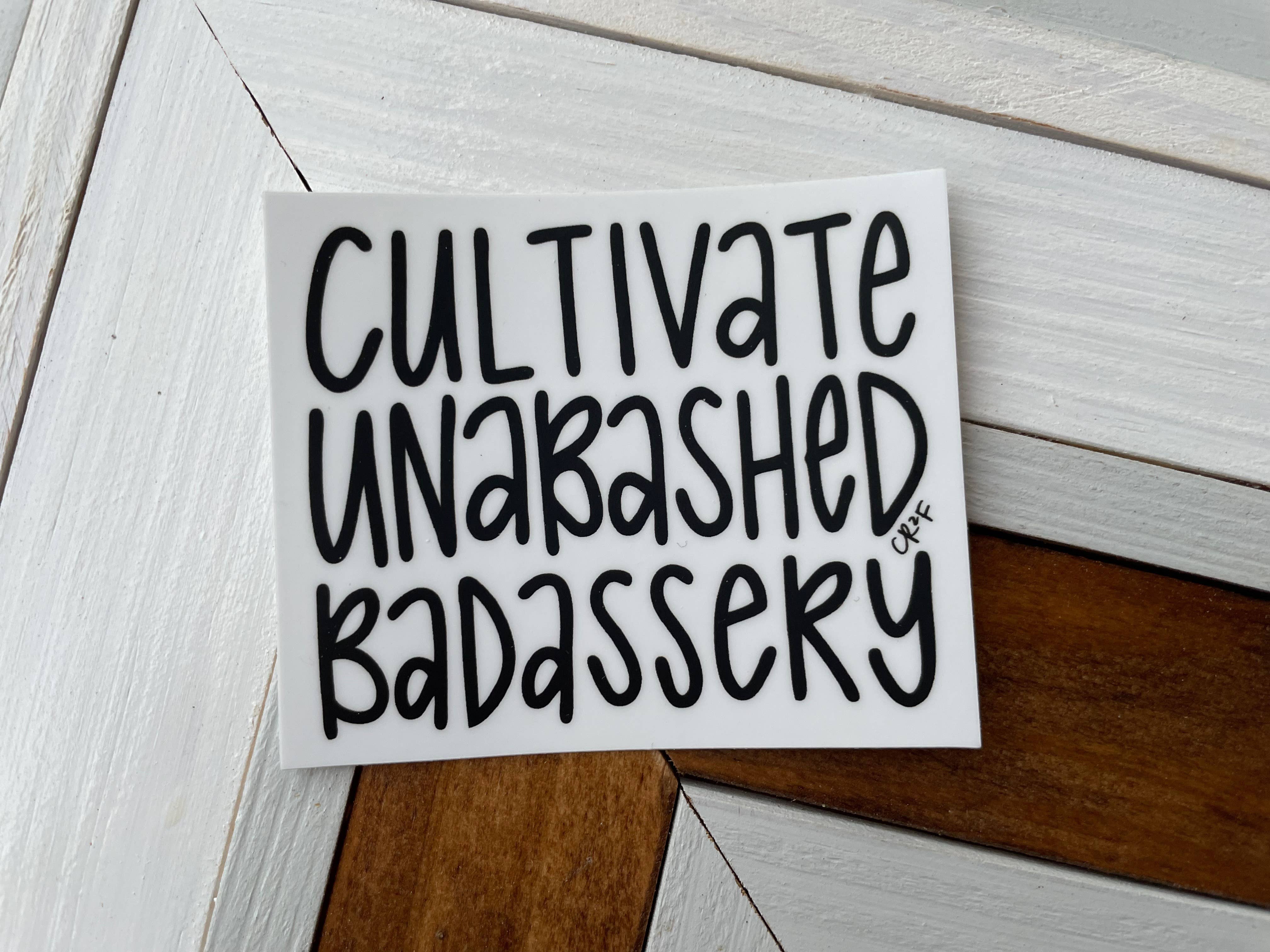 BrightKind Creative - Wholesale Sticker - Starter Sticker Pack - 15 stickers designs, 4 of each design2