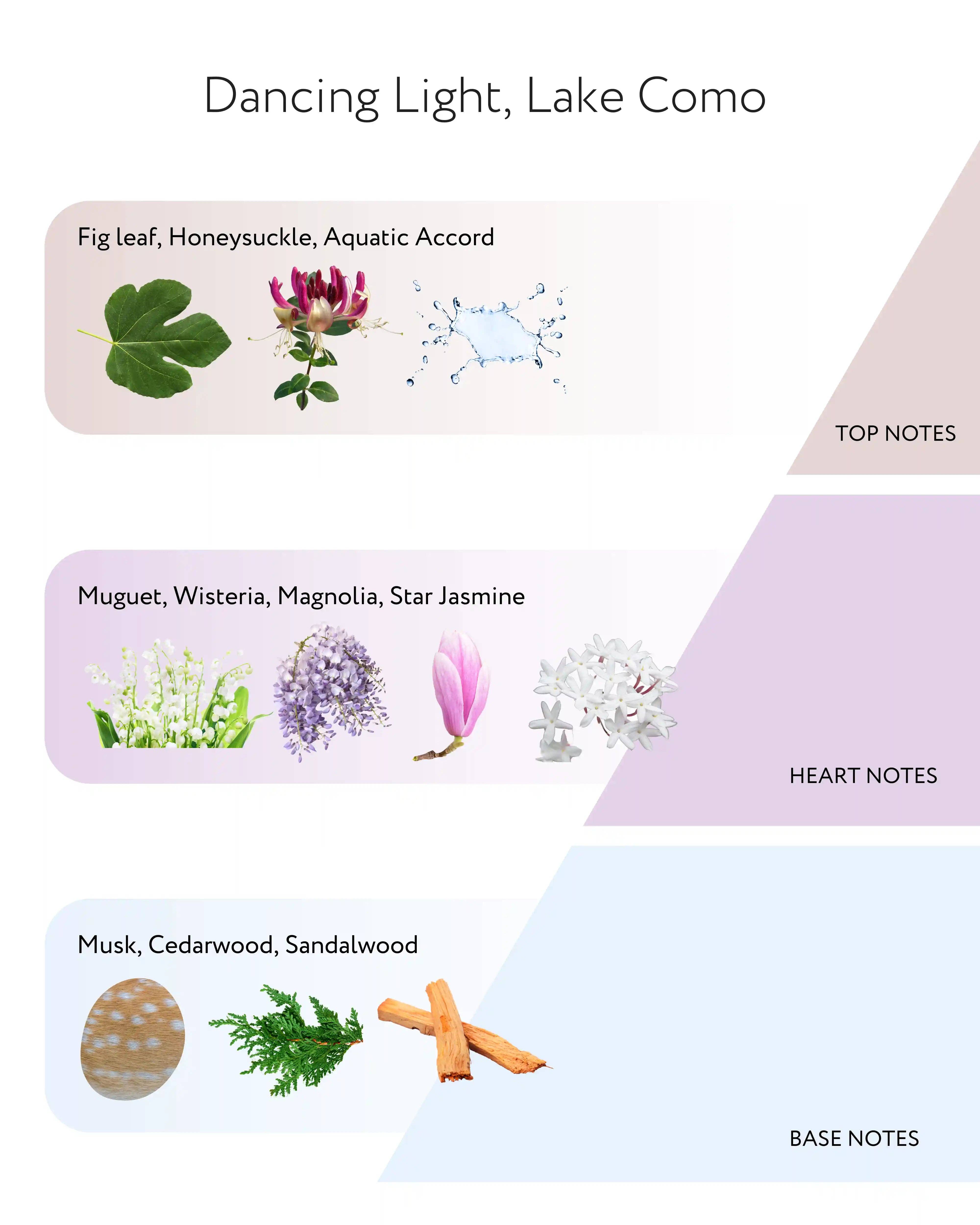 Told London Ltd - Wholesale Reed Diffuser - Dancing Light, Lake Como Diffuser, 200ml4