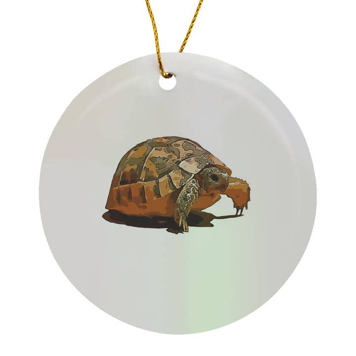 3dRose – wholesale Prydnad – 3dRose, Tecknad porträtt av en baby vild sköldpadda svart konturkonst, prydnad