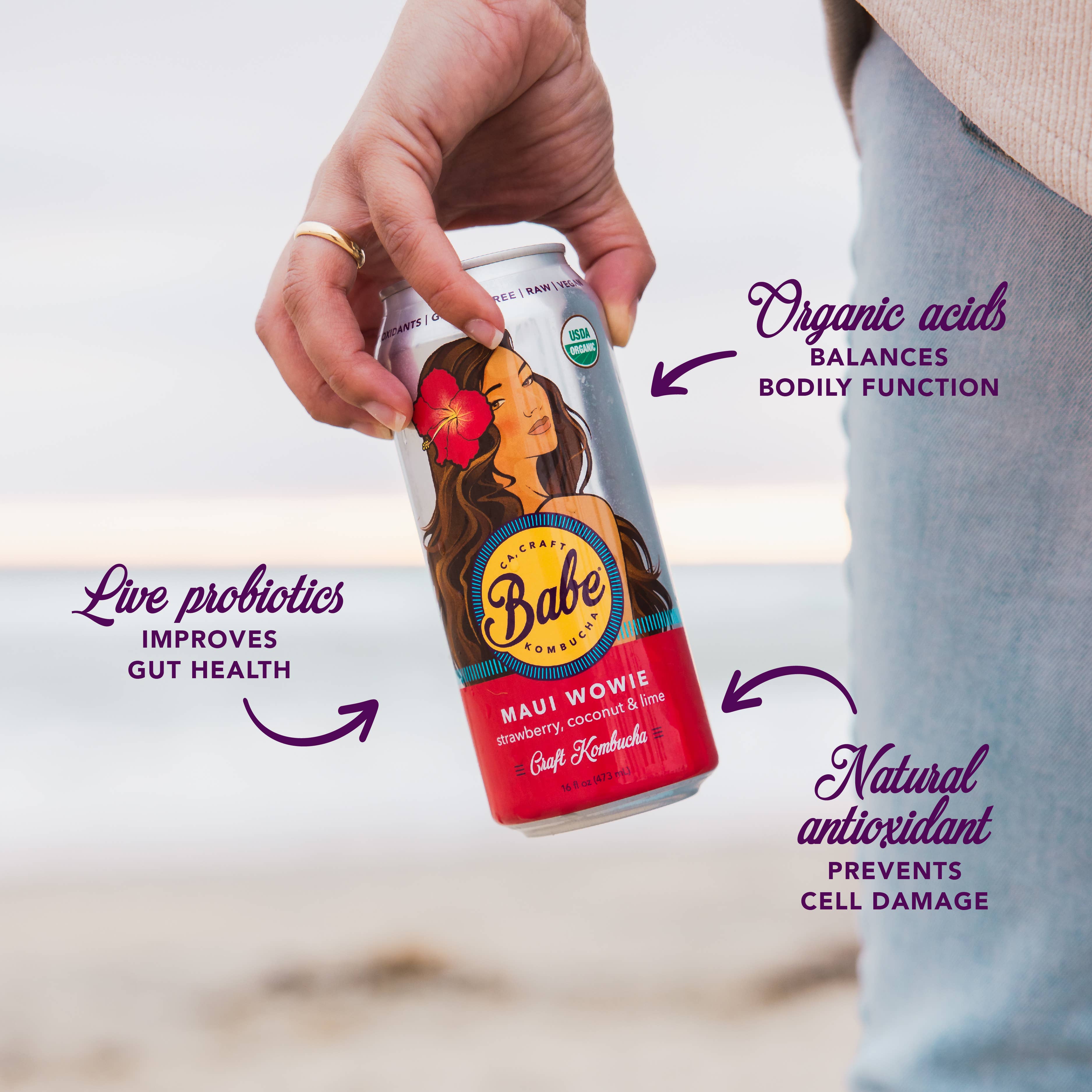 Babe Beverages - Wholesale Kombucha - Maui Wowie Kombucha (Strawberry Coconut, Lime) - 12 Pack2