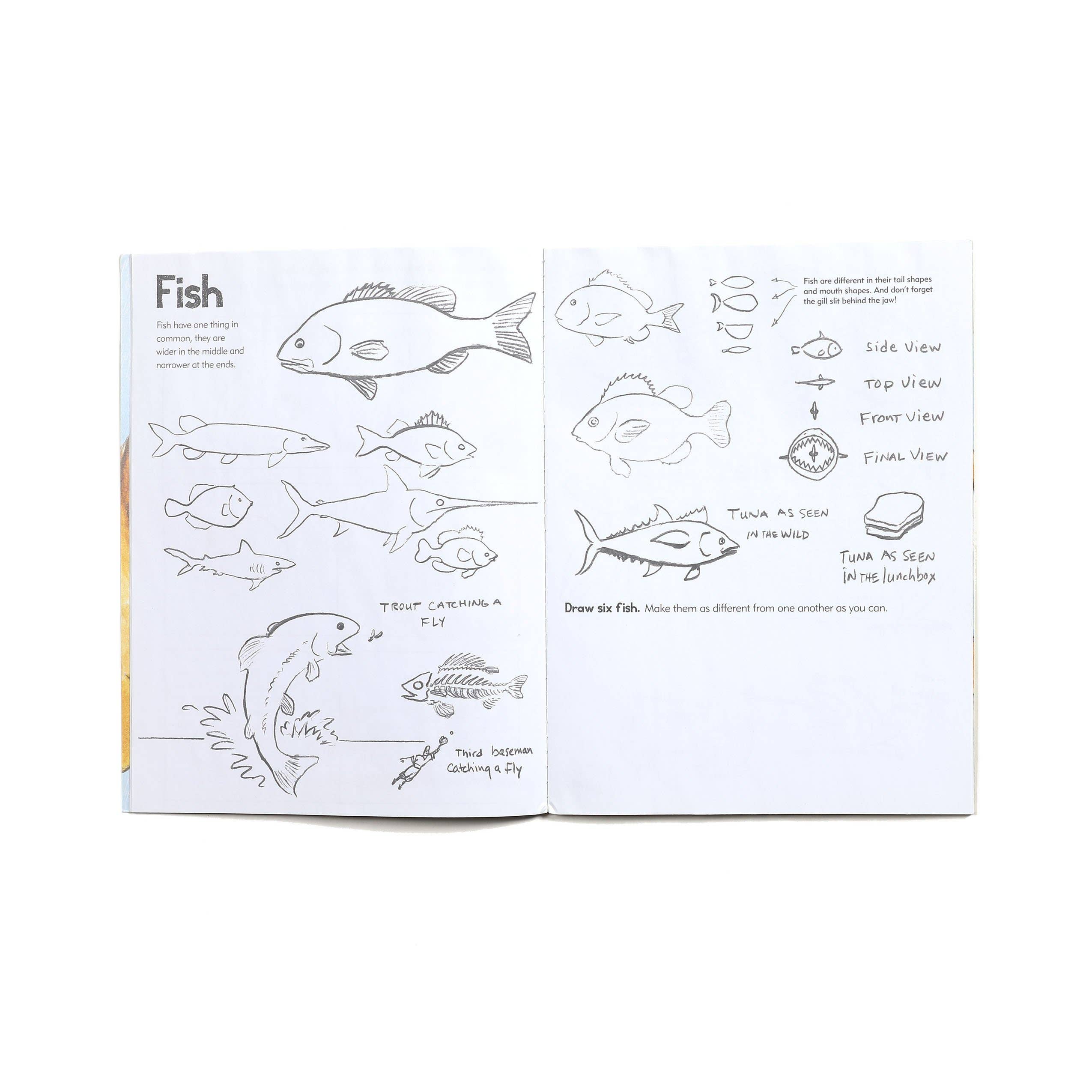 eeBoo - Wholesale Early Reader Book (6-8) - Learn to Draw Animals Art Book2