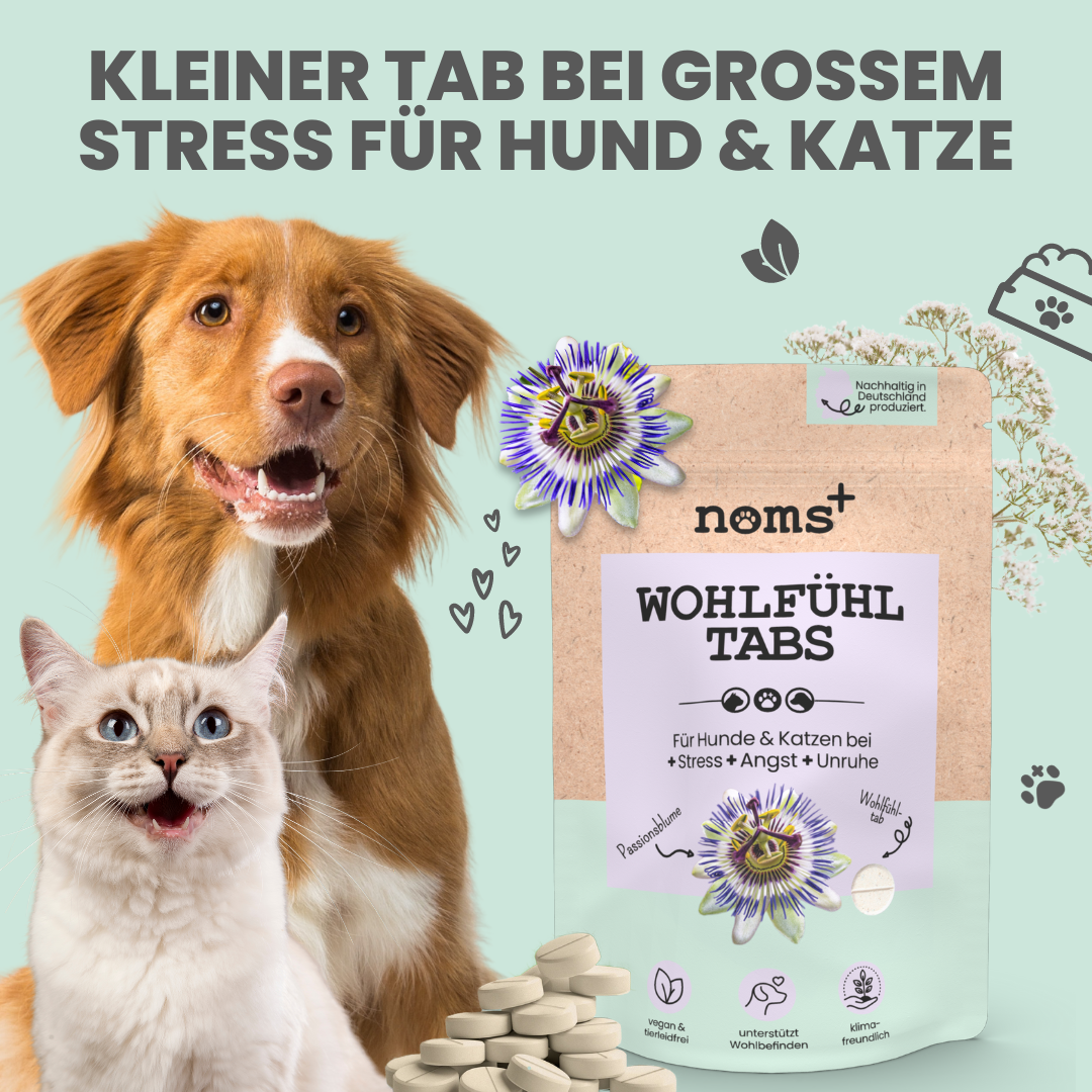 Noms+ – Großhandel Nahrungsergänzungsmittel für Haustiere – Katze/Hund – Wohlfühltabs für Hunde bei Stress, Angst & Unruhe1