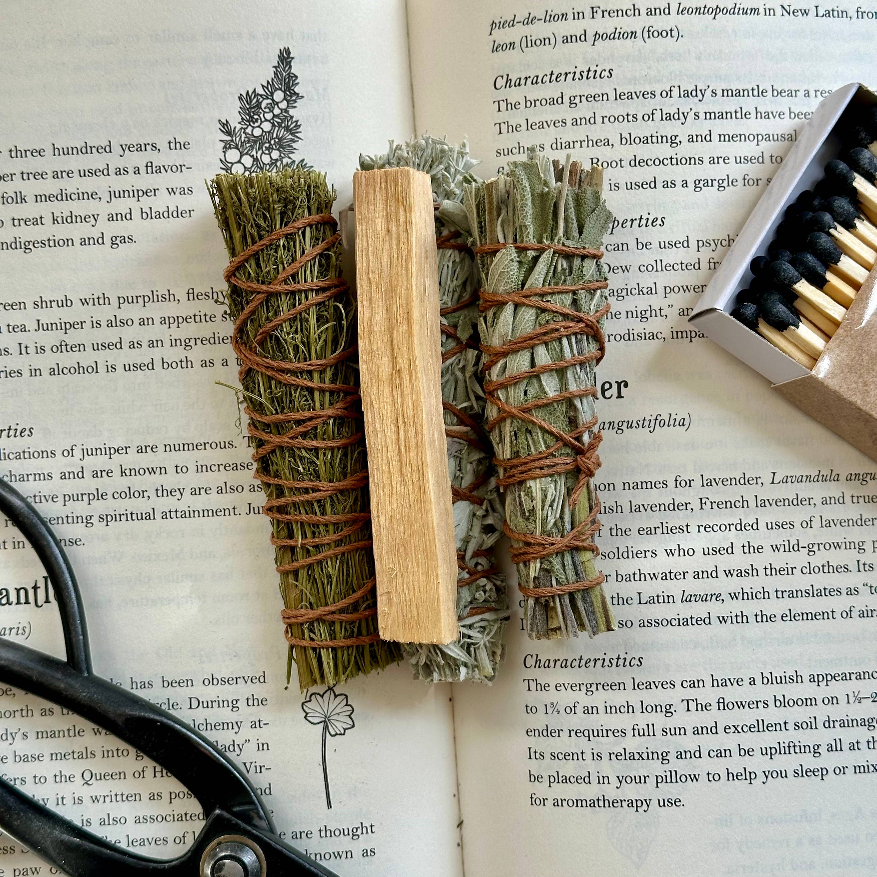 erba - Wholesale Sage Bundle - Energy Cleansing Sampler Set12