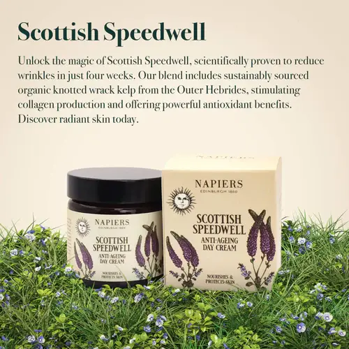 Napiers - Venta al por mayor Cremas hidratantes antiedad - Crema de día Napiers Speedwell Ageless6