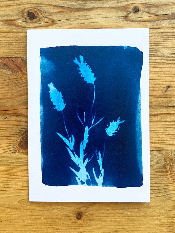 'French Lavender' Botanical Blue Greetings Card for wholesale by Made By McDuff
