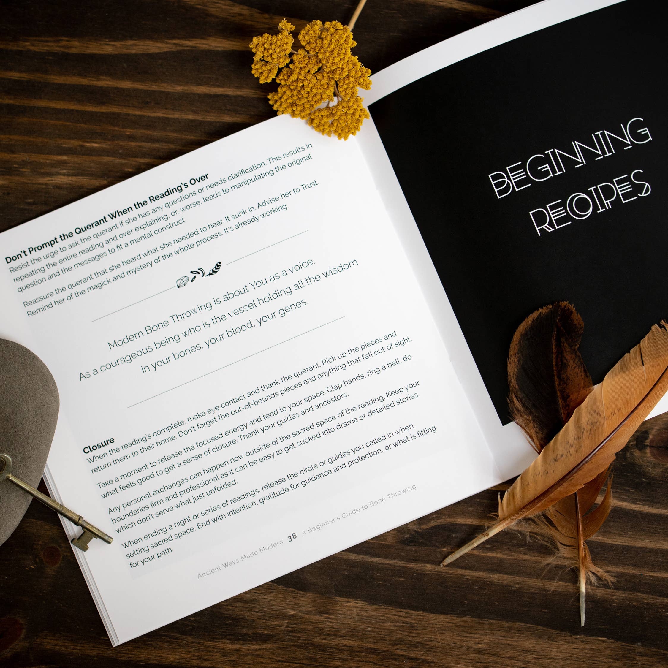 Taming the Tangle - Wholesale Body, Mind & Spirit - A Beginner's Guide to Bone Throwing, divination guide book5