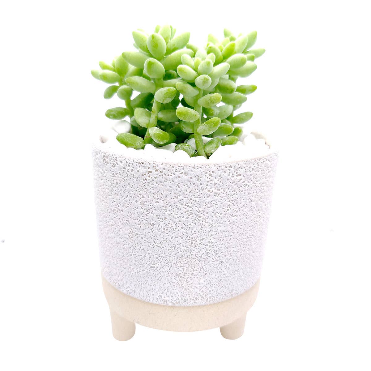 Cute Footed Pot - 4 inch