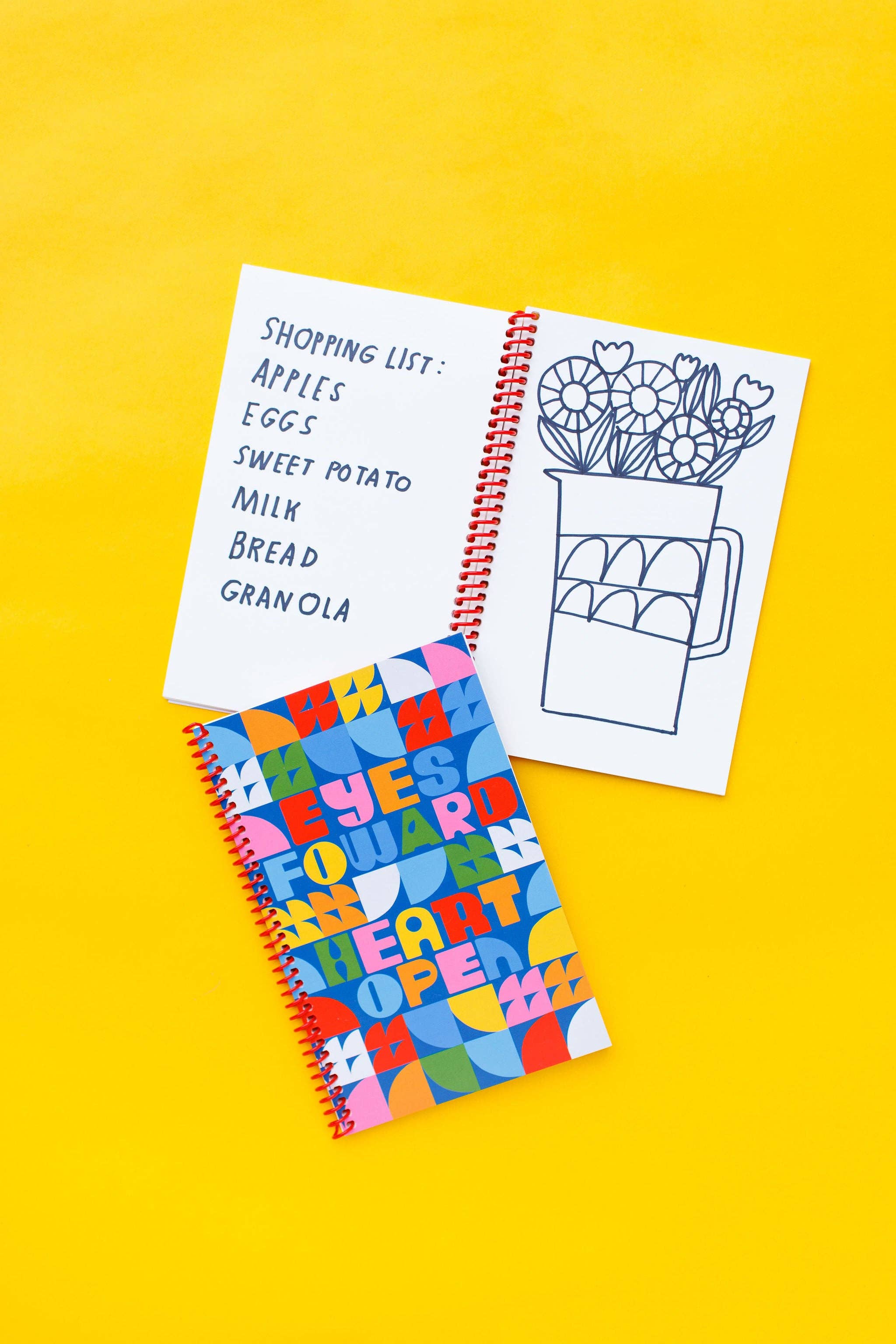 Lisa Congdon Art & Illustration - Wholesale Journal/Diary - Blank Journal with Red Spiral - "Eyes Forward, Heart Open"2