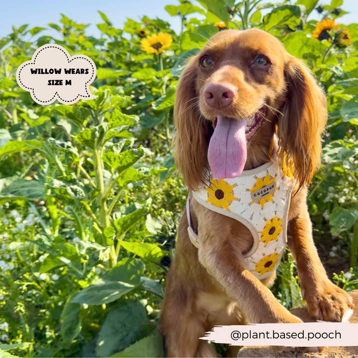 Cocopup London - Wholesale Pet Harness - Dog - Sunflower Patch Adjustable Neck Harness21