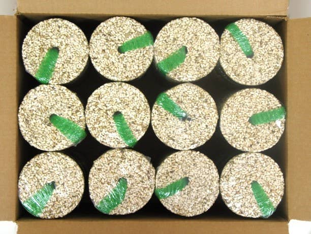 Mr Bird - Wholesale Bird Feeder - Safflower Cylinder - Small3