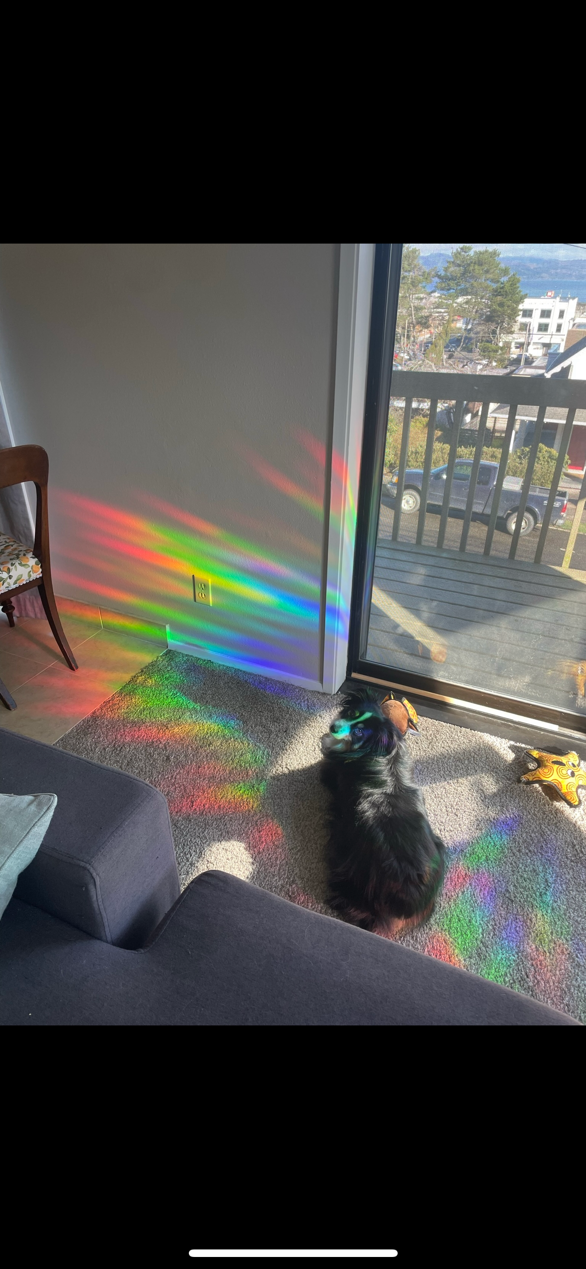 Little Viper Co - Vendita all'ingrosso Acchiappasole - Adesivo Mini Acchiappa Luce Fantasma per Halloween3