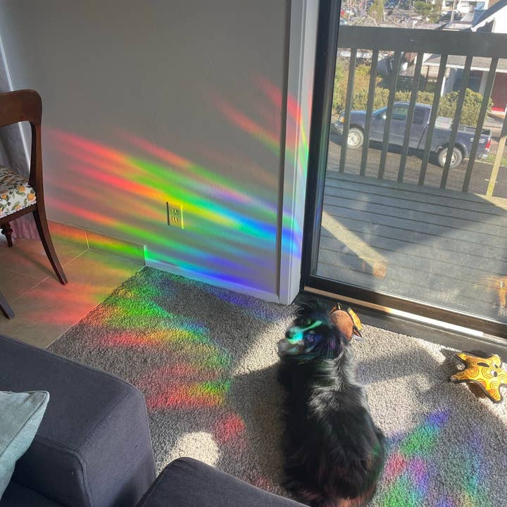 Little Viper Co – wholesale Suncatcher – Mini Bat Suncatcher1