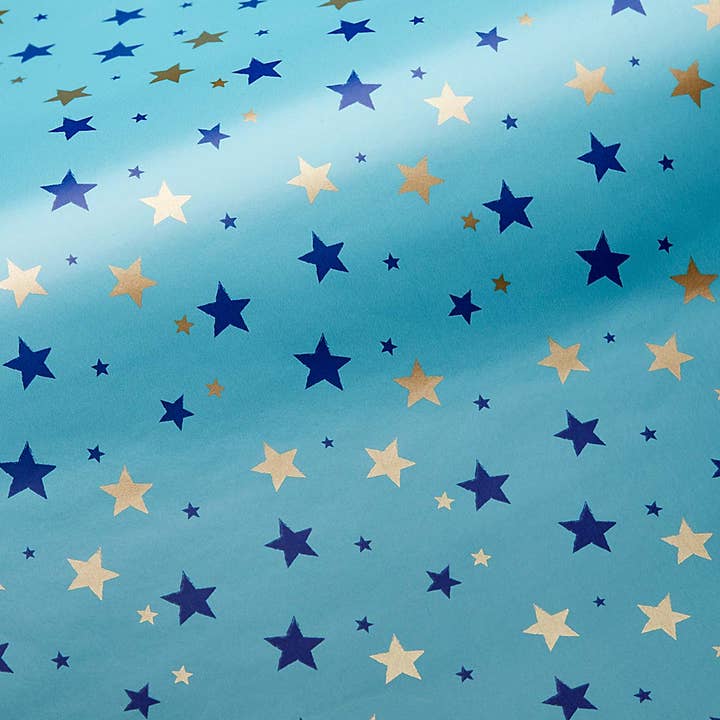 Draeger Paris - Wholesale Wrapping Paper Roll - Box 40 rolls - Prestige Froid4