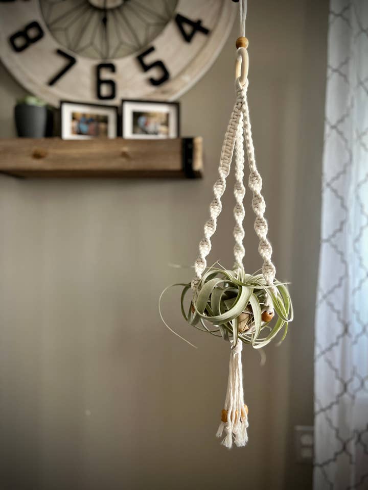 Xerographica Air Plant Hanger for wholesale by Mountaintop Creations