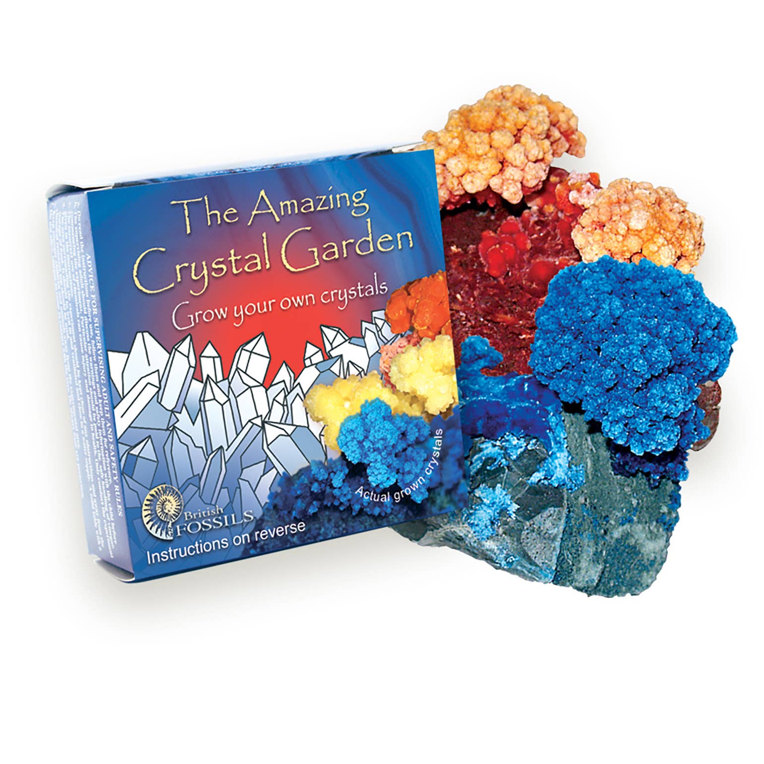 British Fossils - Vendita all'ingrosso Pietra/cristallo spirituale - Pacchetto Crystal Garden1