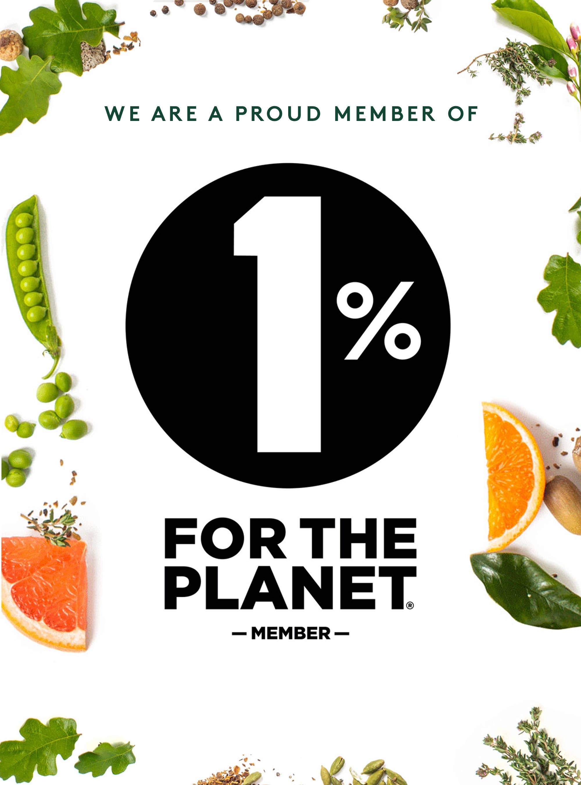 Seedlip - Wholesale Non-Alcoholic Spirits/Wine/Beer - Seedlip Spice 94 (Case of Six) | Non-alcoholic Spirits6