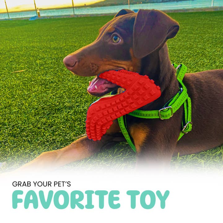 TOME DOG TOYS - Wholesale Pet Chew Toy - Dog - Dog Chew Toy & Toothbrush – For Aggressive Chewers | Durable5