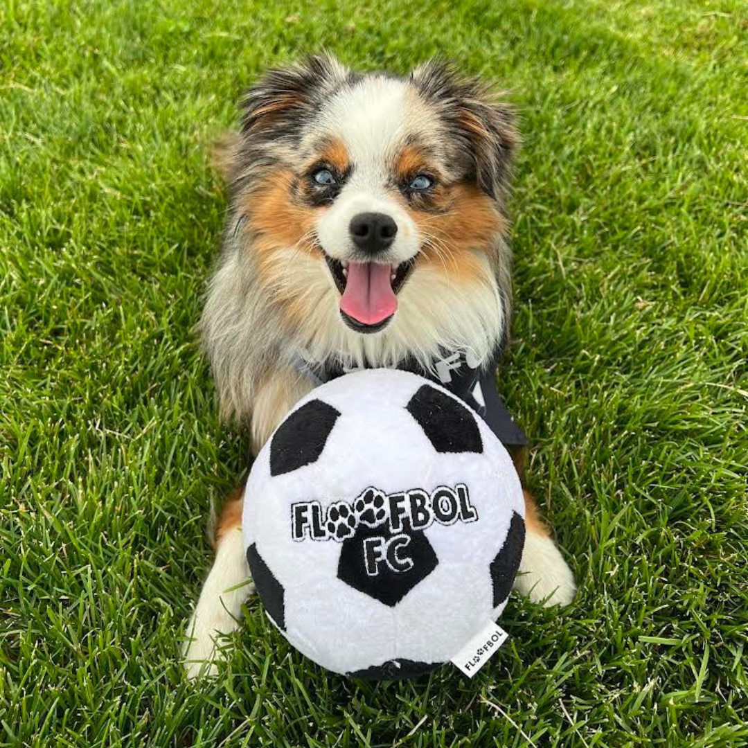 Floofball – Großhandel Plüschtier – Hund – Floofbol FC Fußball-Hundespielzeug aus Plüsch5