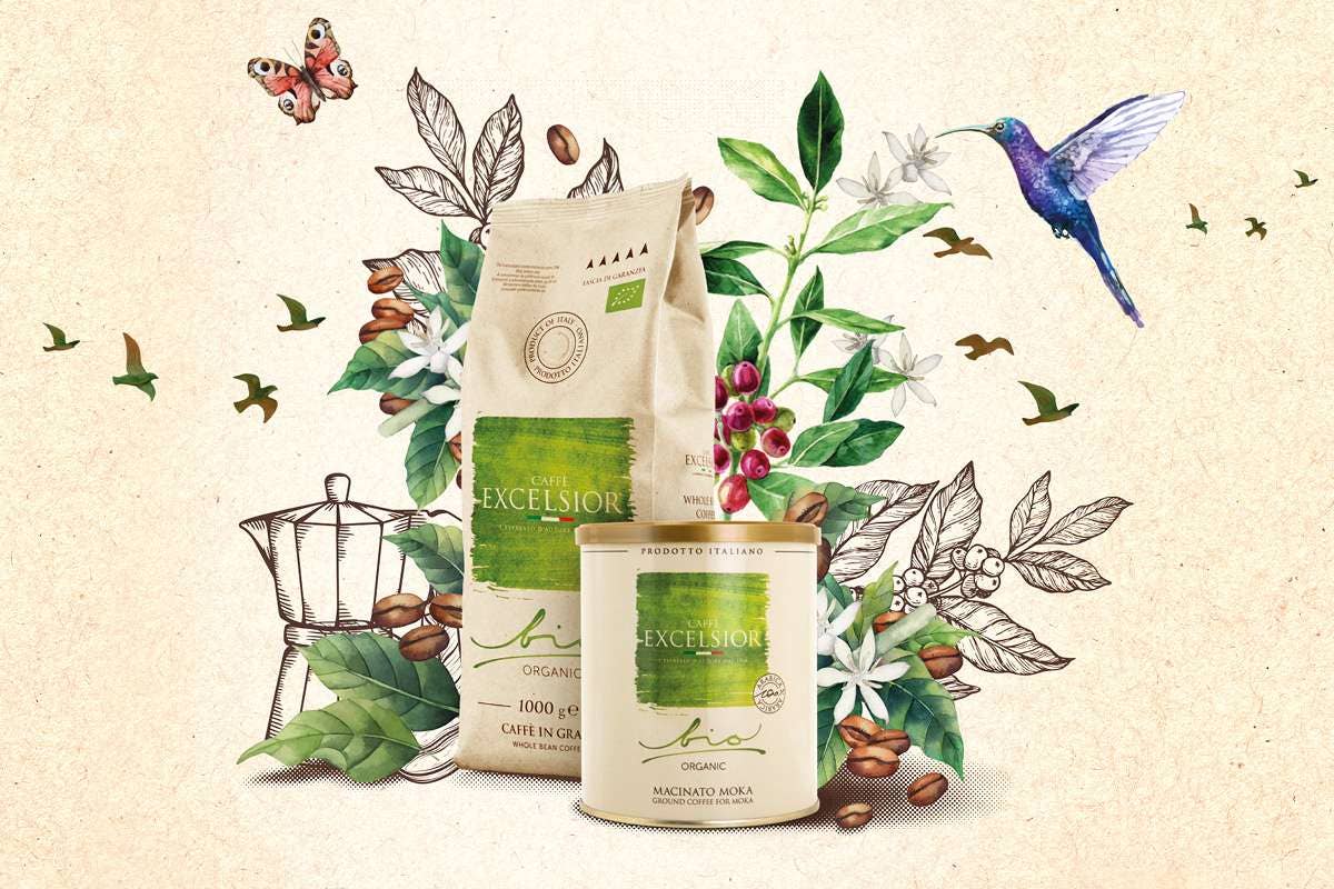 Caffè Excelsior - Wholesale Ground Coffee - Organic Ground Coffee Moka in Tin 250 Gr | 100% Arabica1
