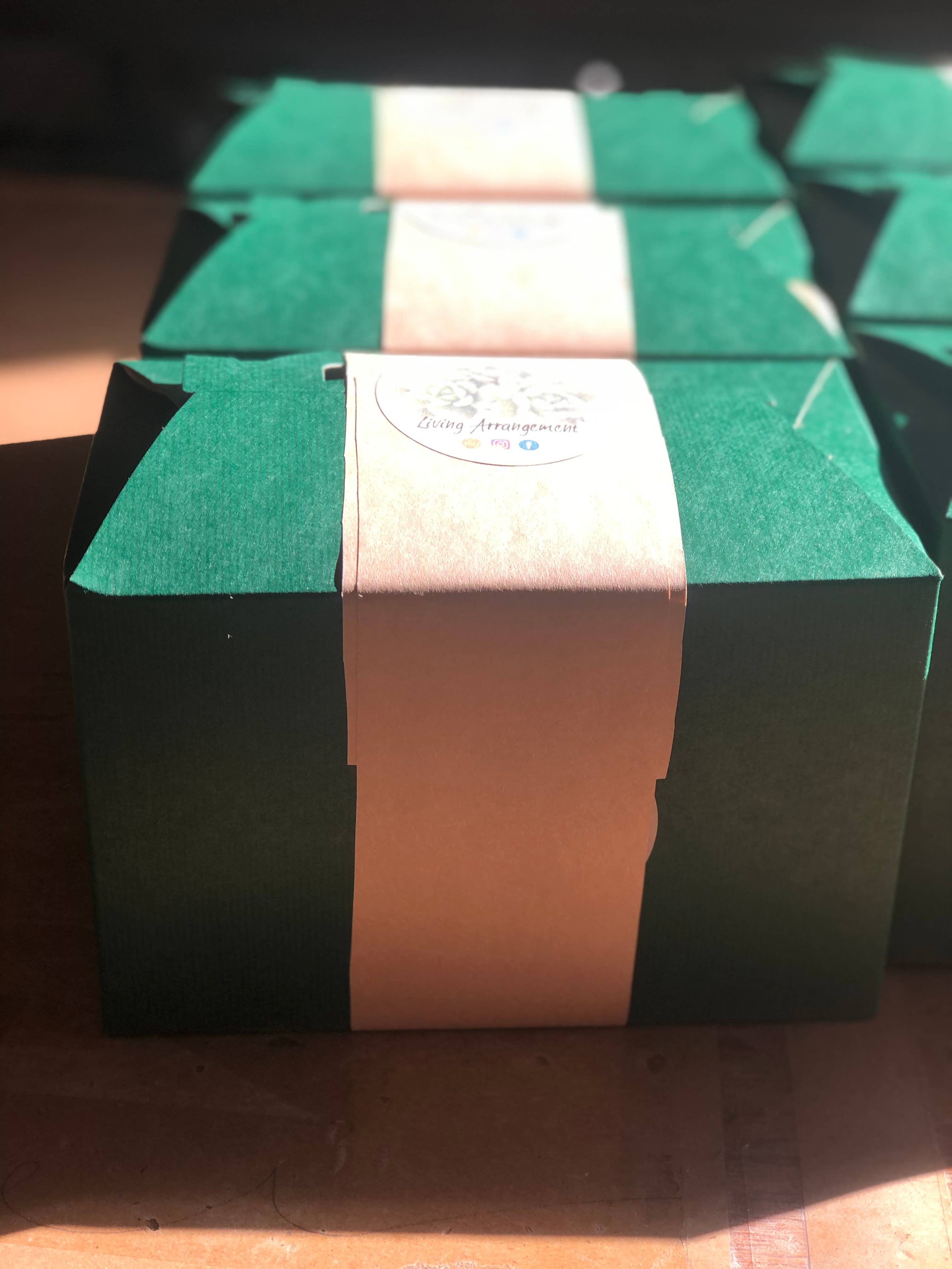 Living Arrangement - Wholesale DIY Craft Kit - Succulent Terrarium Kit Complete DIY7