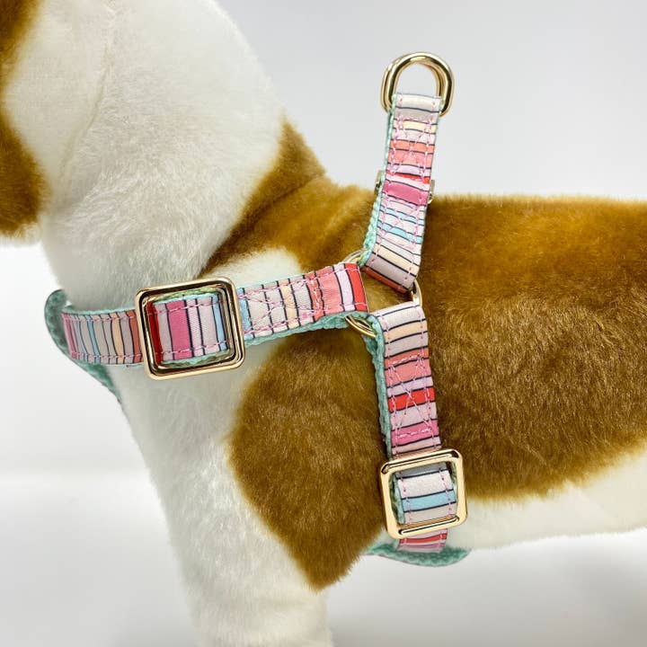 Roxy & Co. Canine Accessories - Wholesale Pet Harness - Dog - BRANDI STRIPE DOG HARNESS1