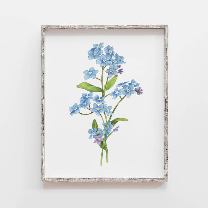 Forget Me Not Flower Art Print for wholesale by JesMarried