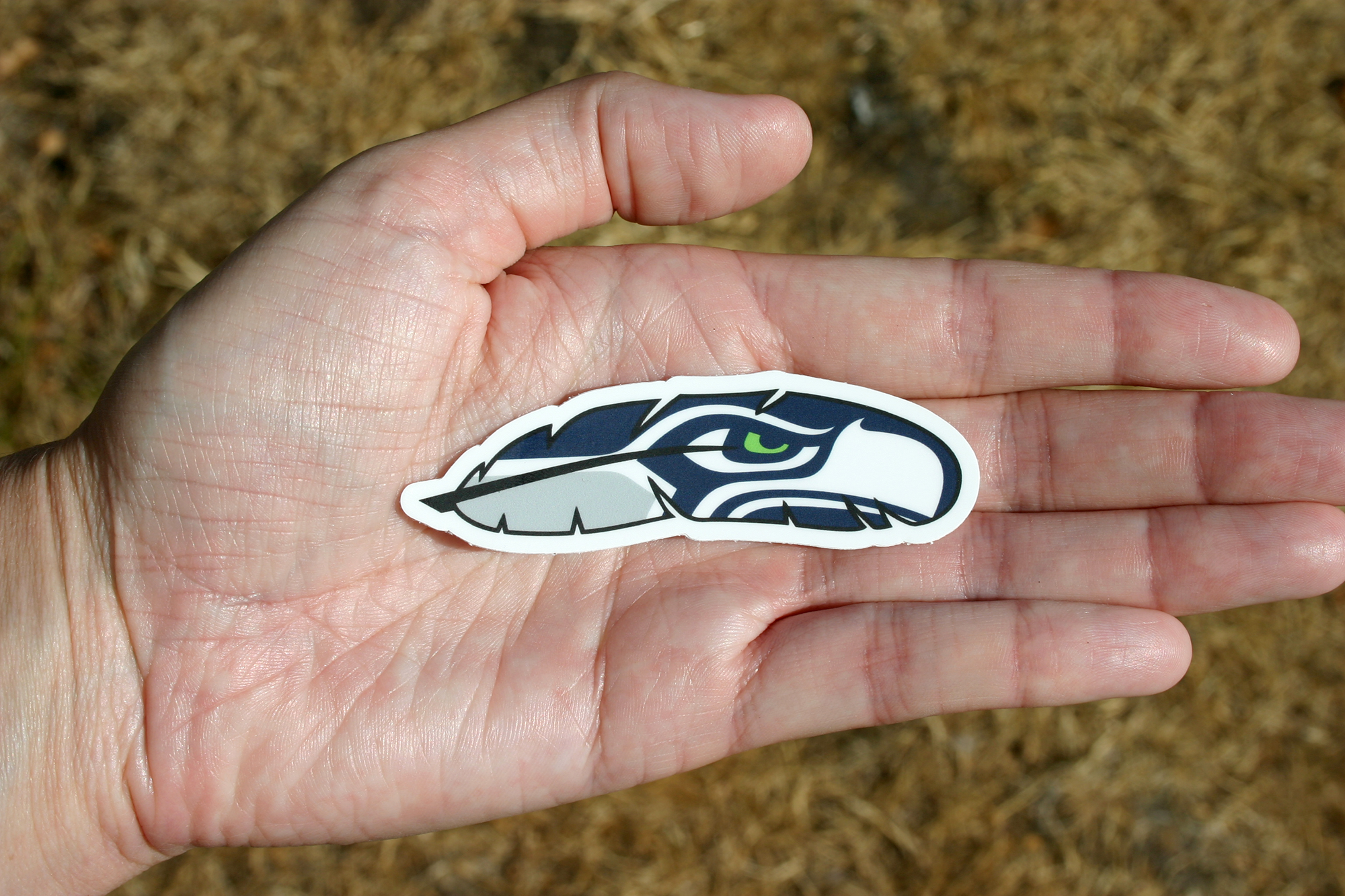 Discovery Stickers - Wholesale Sticker - Seattle Seahawks Logo Feather Vinyl Sticker4