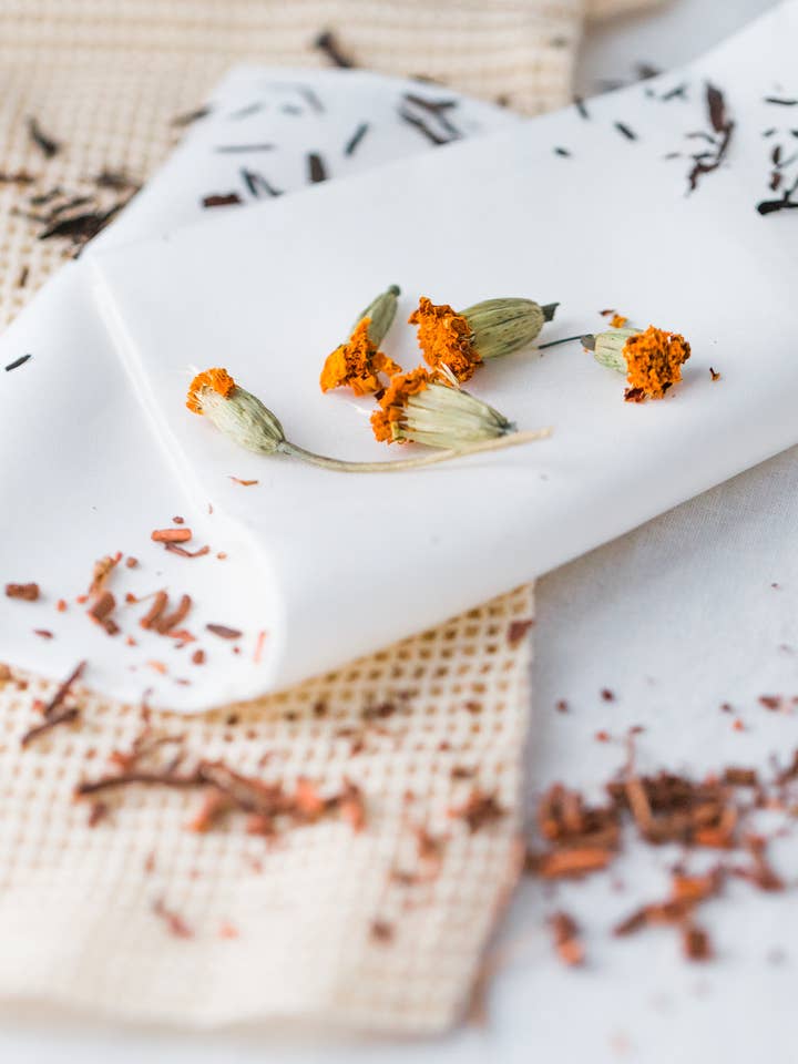 Natural Dye Workshop Kit for wholesale by Lesley Darling Fiber