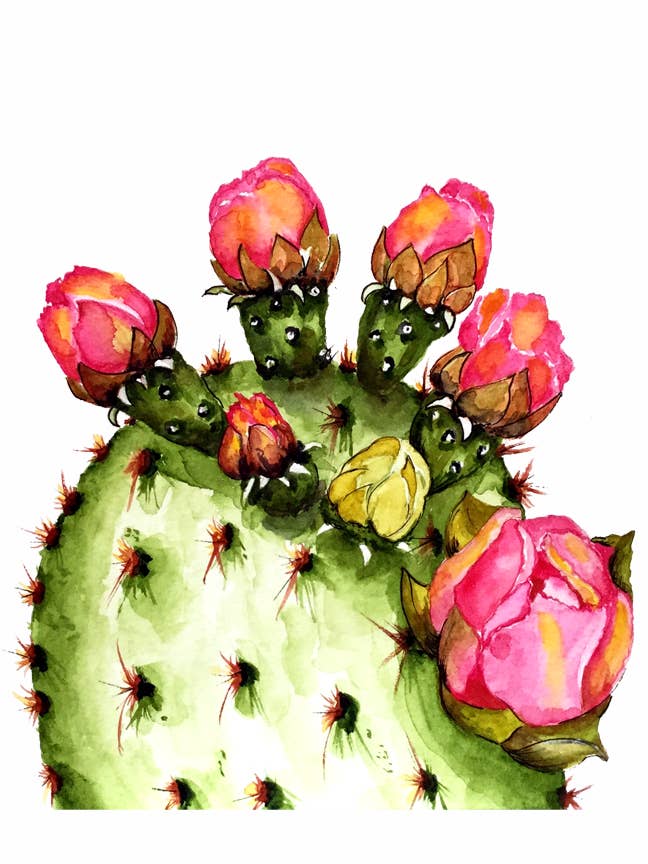 Polka Dot Cactus for wholesale by Joshua by Oak