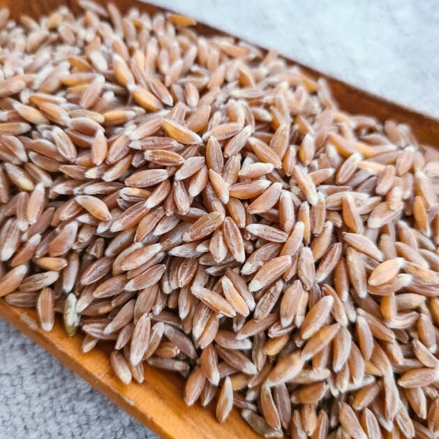 Organic Whole Grain Emmer Farro, 25 lb for wholesale by Bluebird Grain Farms