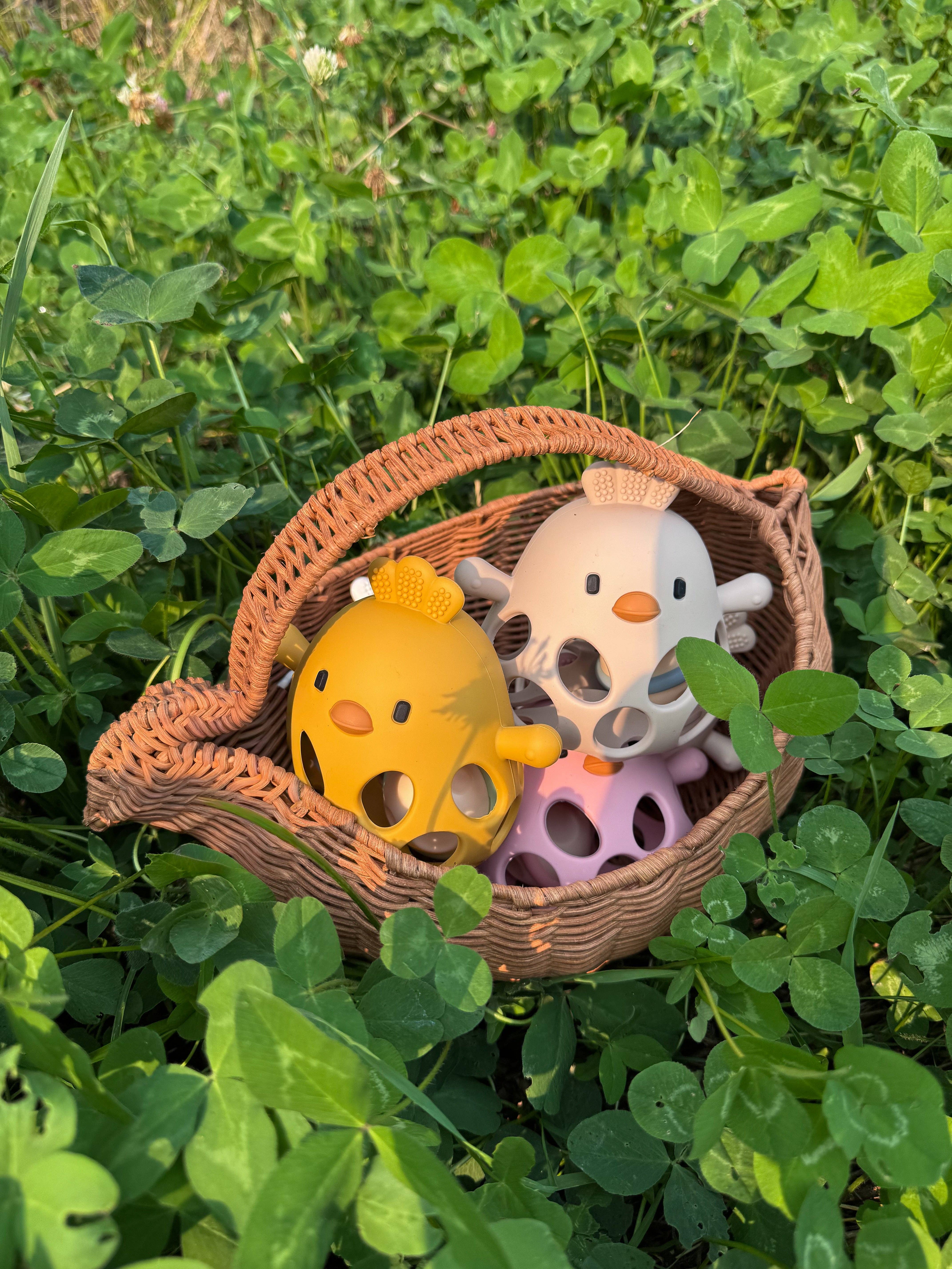 Peaks & Valleys Baby - Wholesale Teether (Not Clip-On) - Baby - New Clucky Chew Buddy13