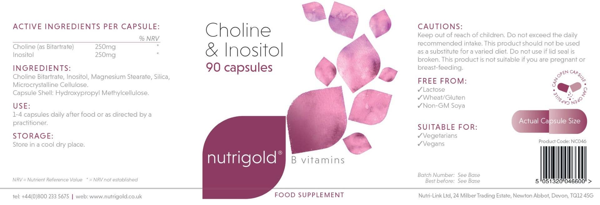 Nutrigold – wholesale Oral supplement/vitamin – Choline & Inositol x 90 capsules1