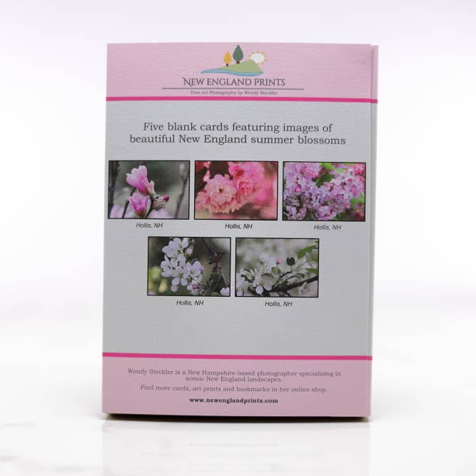 New England Prints - Wholesale Stationery/Notecard Set - Box of 5 All Occasion Spring Blossom Blank Note Cards1