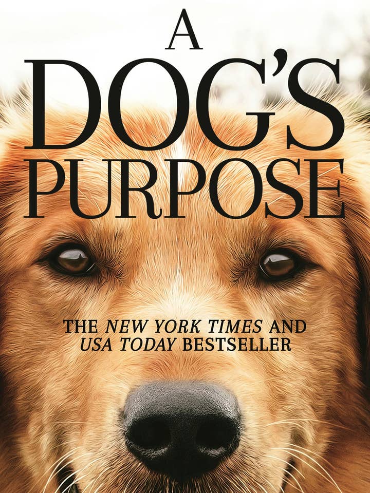 Dog's Purpose (Mti): A Novel For Humans for wholesale by Macmillan Publishers