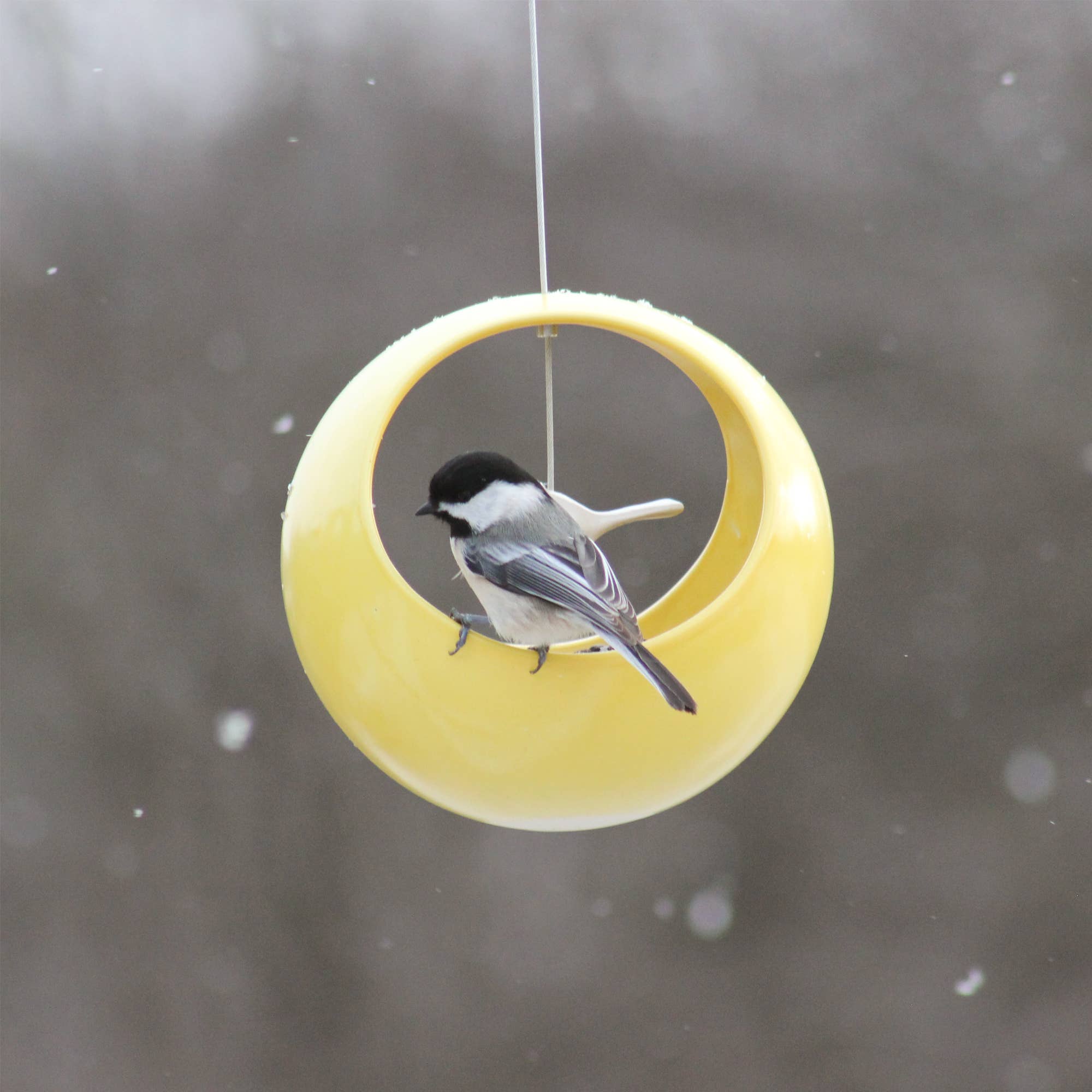 Cōppa Cōllaborative LLC - Wholesale Bird Feeder - Birdie Bird Feeder11