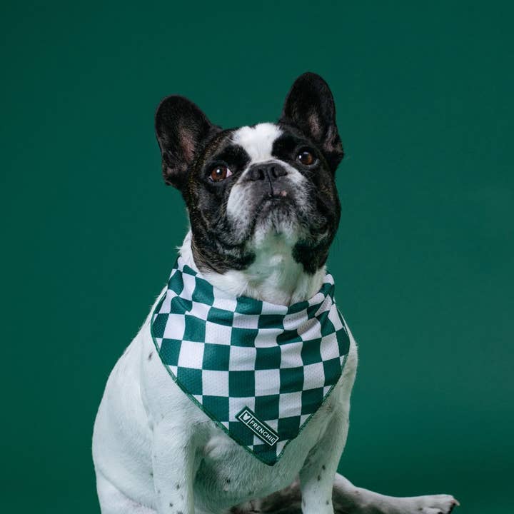 Frenchie - Wholesale Pet bandana – Dog - Frenchie Cooling Bandana - Emerald City3