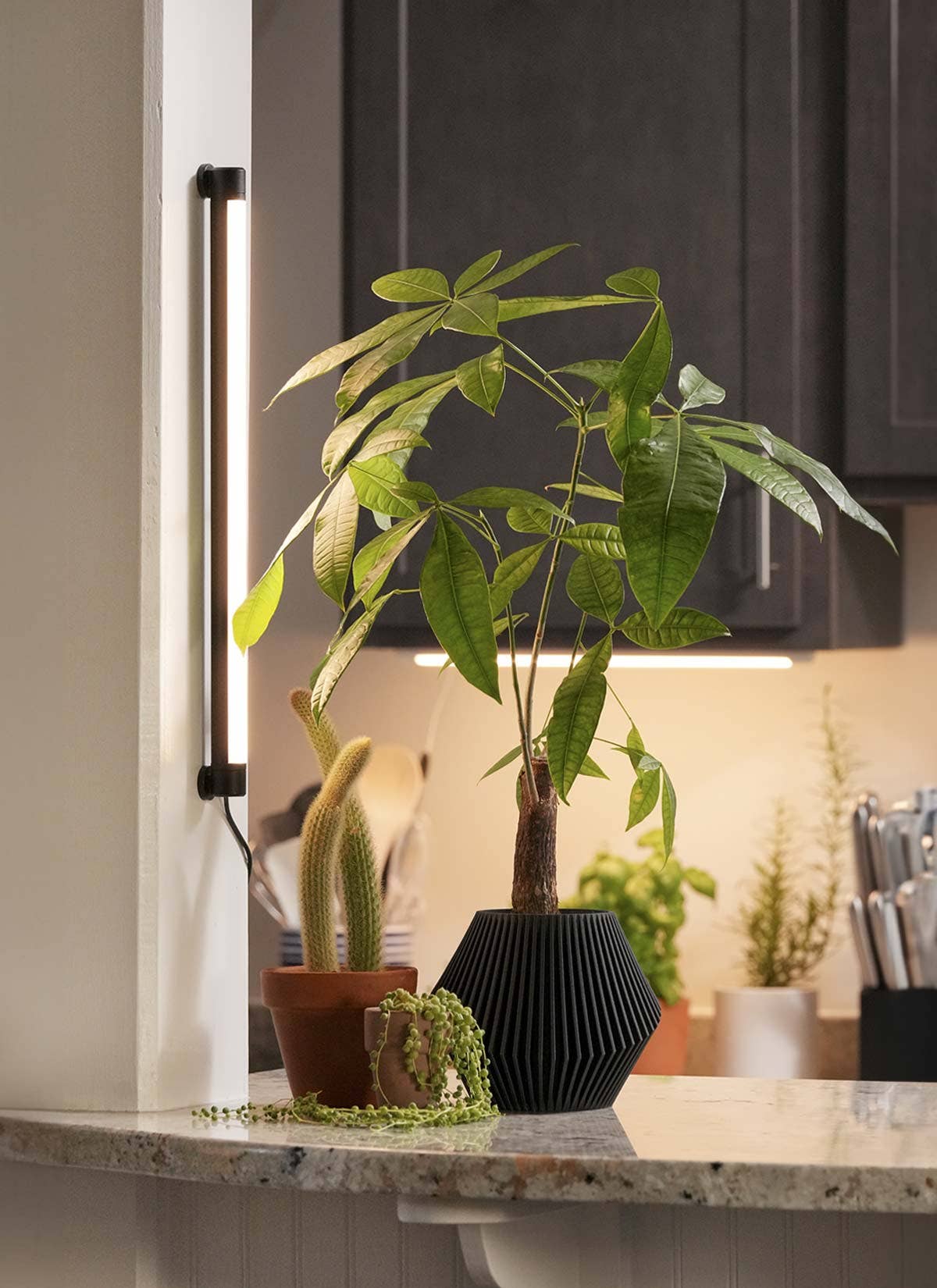 Soltech Solutions - Wholesale Chandelier/Hanging Light - Grove™ LED Grow Light12