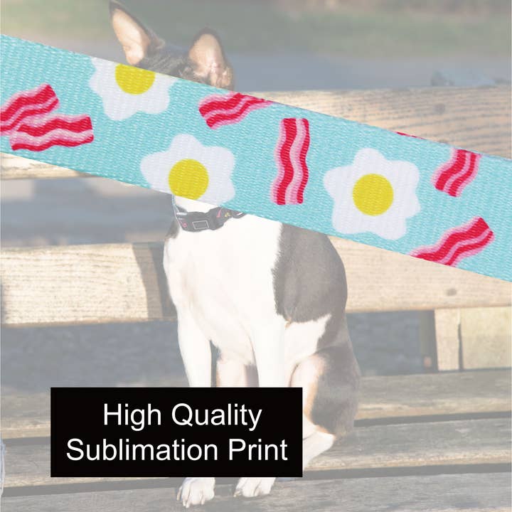 DOCO - Vente Collier – chien - Collier DOCO® LOCO6