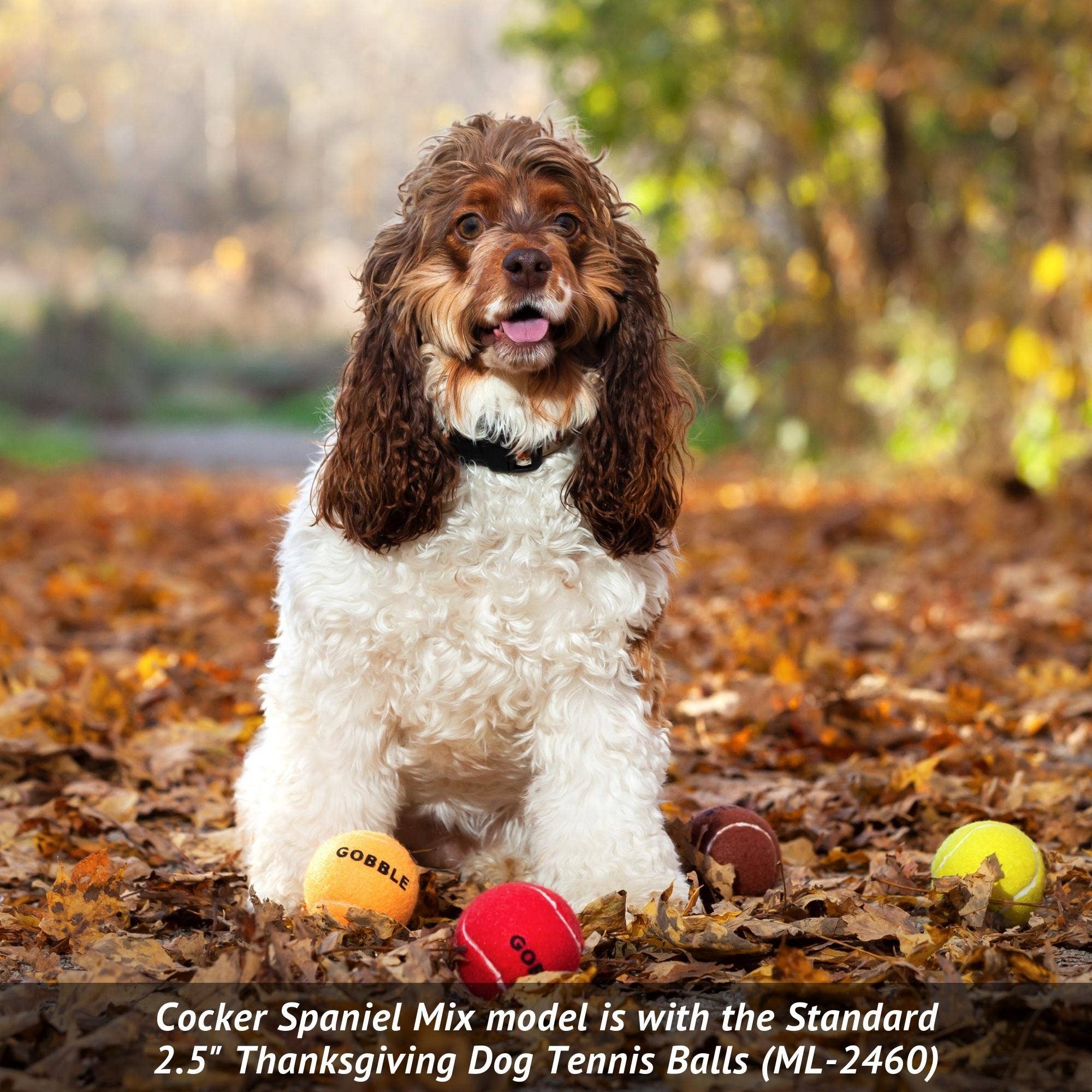 Midlee Designs - Wholesale Pet Fetch Ball - Dog - Thanksgiving Dog Tennis Balls4