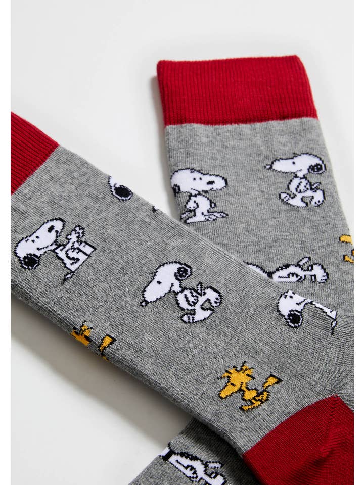 BeSnoopy Grey - 100% Organic Cotton Socks for wholesale on Faire2