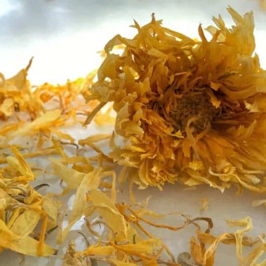 Better Shea Butter - Wholesale Loose Tea - Calendula Whole Flowers for Teas, Soaps & Crafts (4 oz)1