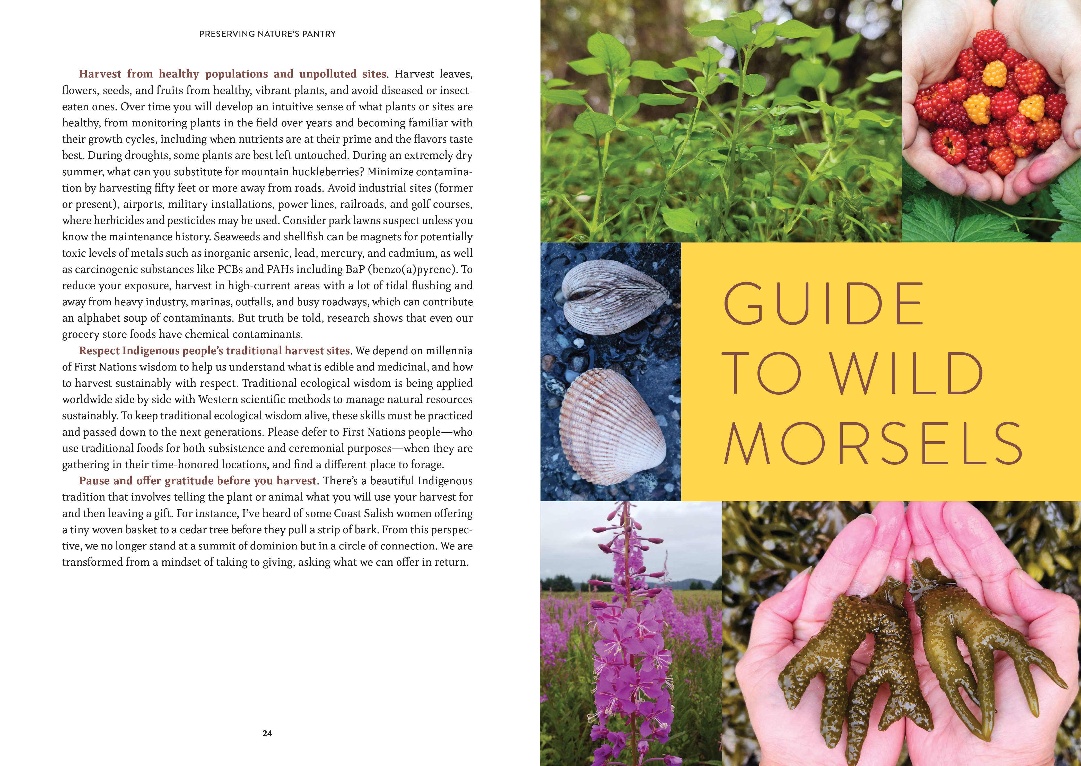 Mountaineers Books - Wholesale Nature & Outdoors - Pacific Harvest: A Northwest Coast Foraging Guide2
