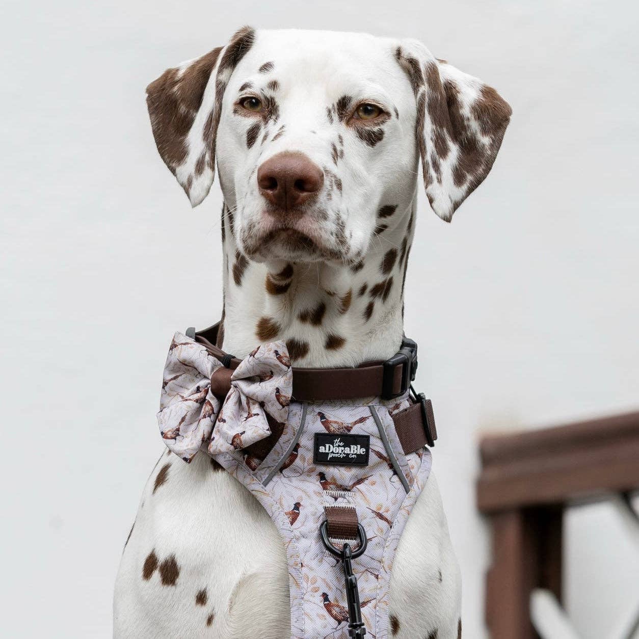 The aDoraBle Pooch Company – wholesale Pet bow tie – Dog – Dog Sailor Bow Tie - Farmland Pheasant3