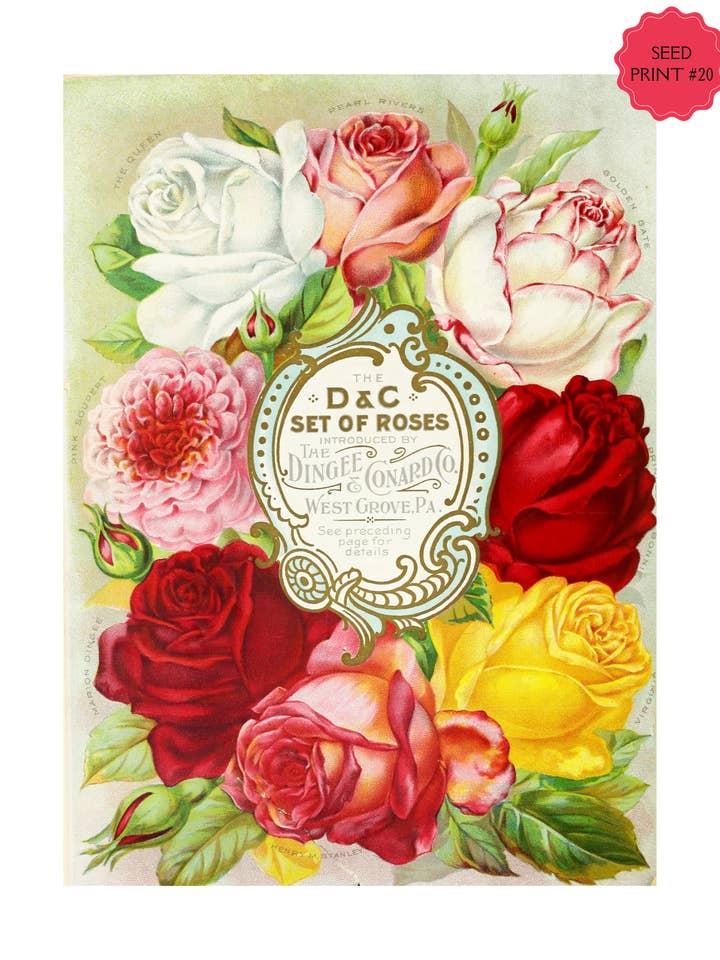 IMPRESSION ARTISTIQUE SUR SACHET DE GRAINES VINTAGE #20 pour la vente par Soraya Moon Co.