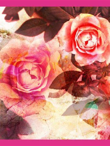 Grand Silk Scarf 100% Dis 57656 Var 1 for wholesale by tessago