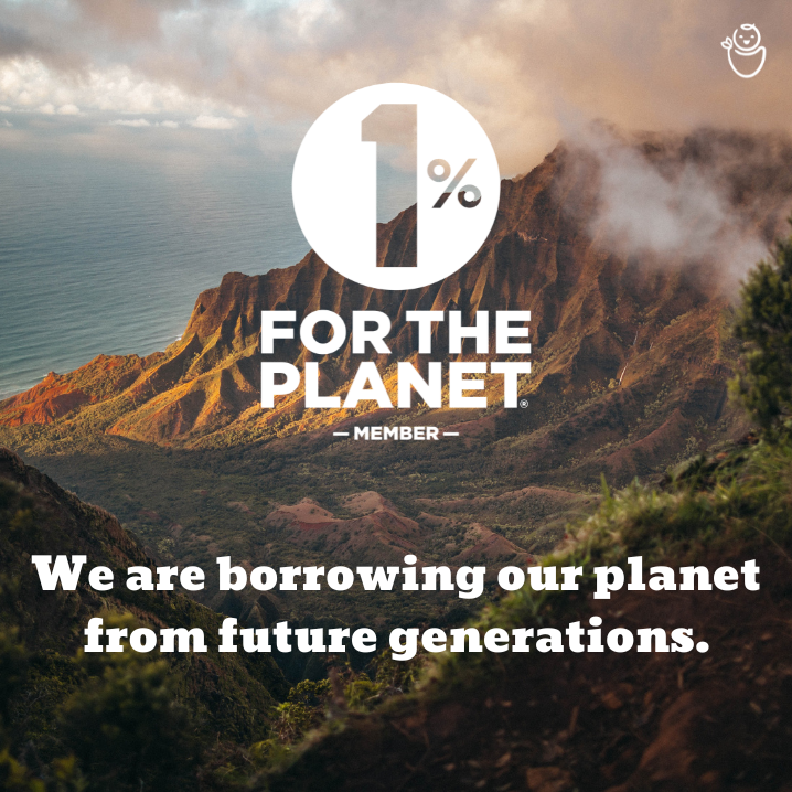 Piko Provisions - Wholesale Fruit Snacks - Mango Puree Fruit Snack for Babies4